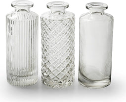 Set van 3 vaasjes - transparant - voor droogbloemen - bruiloft decoratie