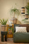 In The Mood Collection Nikki Sierkussen - 55 x 35 cm - Katoen - Geblokt - Beige