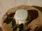 Beauty Disrupted Conditioner Bar Amazonian Amour - Conditioner - Natuurlijke luxe - 60g