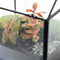 Growia - Terrarium Groeikas- 20cm