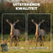 Denver Wildcamera met Nachtzicht - 4K Ultra HD - 50MP - LCD Scherm - Waterdicht - WCS5023