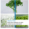 BOSCH KGN362LAF - Koel-vriescombinatie - No-Frost XXL VitaFresh - RVS look