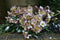 Customize it - Tuinschilderij hellebores 130x70cm