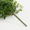 Mica Decorations Ficus Kunst Hangplant - H81 cm - Onderhoudsvrij - Groen