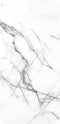 Rhinoshield Crash Guard MOD Back Plate Apple iPhone 6/6S/7/8 Marble Black Vermont