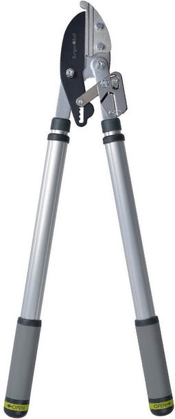 RHS Telescopische hefboom takkenschaar