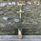 RHS Transplanting spade