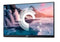 Dell P2219H - Monitor 21,5