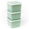 DBP Alaska Diepvriesdozen Vierkant 0.5L 3 Stuks Mintgroen