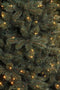 Triumph Tree Kunstkerstboom Forest Frosted - 230x157 cm - 400LED