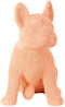 Richmond - Dog Bul pink (Pink)