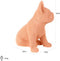 Richmond - Dog Bul pink (Pink)