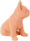 Richmond - Dog Bul pink (Pink)