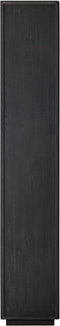 Richmond Interiors Boekenkast Blackbone brass 2-deuren (Black rustic)