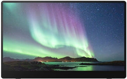 Ricoh draagbare monitor 150BW Zwart