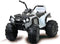 RIDE-ON PROTECTOR QUAD 12V WIT