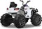 RIDE-ON PROTECTOR QUAD 12V WIT