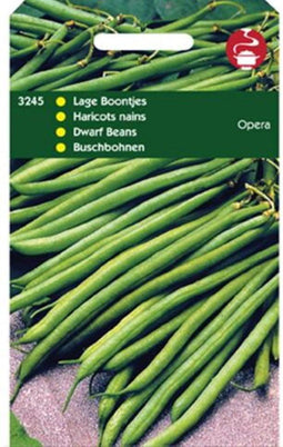 2 stuks Stamslabonen Opera (Gourmetboontje)