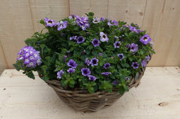 Rieten mand zomerbloeiers paars/blauw dia. 30 cm