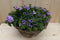 Rieten mand zomerbloeiers paars/blauw dia. 30 cm