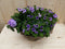 Rieten mand zomerbloeiers paars/blauw dia. 30 cm