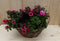 Rieten mand zomerbloeiers roze dia. 30 cm
