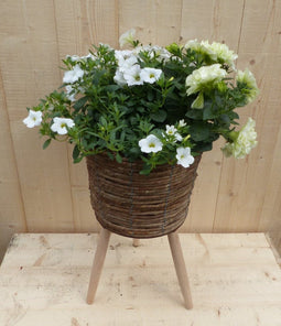 Rieten plantenbak bruin op poten met zomerbloeiers wit h65 cm