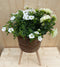Rieten plantenbak bruin op poten met zomerbloeiers wit h65 cm