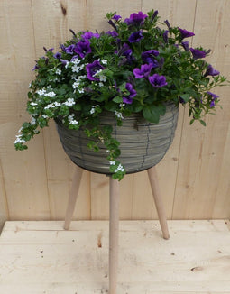 Rieten plantenbak grijs op poten met zomerbloeiers paars/blauw h55 cm