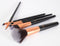 RIO BRCE - Essential cosmetic brush collection - 6st