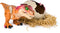 Primal Hatch - Interactive Hatching Dino - T-Rex