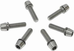 Ritchey - Stuurpen WCS 4-AXIS Vervangingsbouten Titanium 6 Stuks