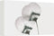 Rituals Geschenkset S Homme 1 set