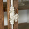 Riviera Maison Buffetkast - Kast - Driftwood Glass Cabinet - Wit
