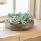 Riviera Maison Decoratieschaal Beige - Xiavieria Schaal Rond - Glas - (ØxH) 46x11