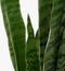 Mica Decorations Sanseveria Kunstplant in Bloempot - H80 x Ø15 cm - Groen