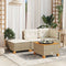 vidaXL - Tuinkruk - met - kussen - 63,5x56x32 - cm - poly - rattan - beige