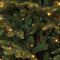 Black Box Trees Frasier Kunstkerstboom met LED verlichting - H230 cm - groen