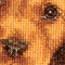 Thea Gouverneur - Borduurpakket met telpatroon - 730A - Voorgesorteerde DMC Garens - Kerst Puppy - Aida - 31 cm x 30 cm - DIY Kit