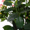 Mica Decorations Rozenstruik Kunstplant in Bloempot Stan - H33 x Ø25 cm - Roze