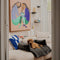 District 70 NUZZLE - Zachte Mand - Afritsbare Hoes - Medium 75 x 75 cm - Donker Grijs