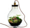 Growing Concepts DIY Duurzaam Ecosysteem Giants Ecolight XL - 20 Liter - Planten - Botanische Mix - H42xØ40cm