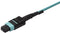 Startech.com MPO8LCPL3M - MPO/MTP naar 4x LC breakout kabel - 300 cm - Blauw