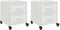vidaXL - Nachtkastjes - 2 - st - 36x39x43,5 - cm - staal - wit