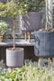 Mica Decorations Nuovo Plantenbakken - H64 x Ø37 cm - Magnesium - Taupe