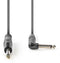Nedis COTH23005GY30 - Audiokabel 6.35mm - 300cm - Grijs