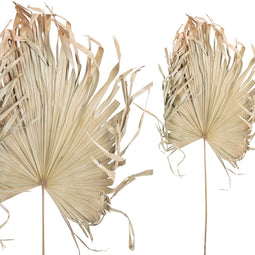 PTMD Dried Twig Palm Kunstblad - 100 x 100 x 120 cm - Bruin