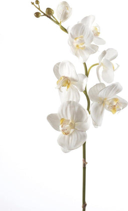 Emerald - Phalaenopsis tak - Kunstbloem - 75 cm - Creme (2 stuks)