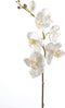 Emerald - Phalaenopsis tak - Kunstbloem - 75 cm - Creme (2 stuks)