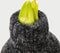Plant in a Box - Amaryllis - Hippeastrum 'Cozy Teddy Gray' - Bloembol - Rode bloemen